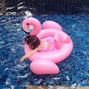 phao bơi hồng hạc