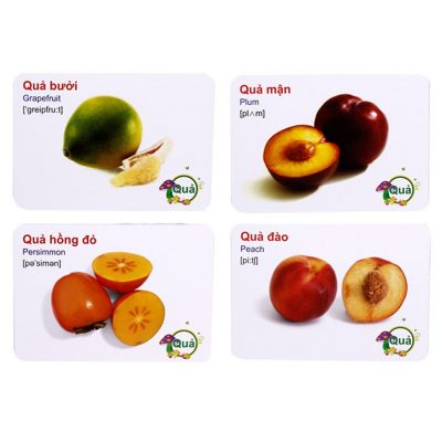 Bộ 416 Thẻ Học Tiếng Anh Thông Minh Flashcard Cho Bé